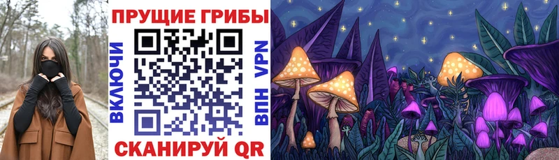 Псилоцибиновые грибы прущие грибы закладки OMG ONION Волосово